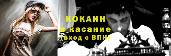 шишки Богданович