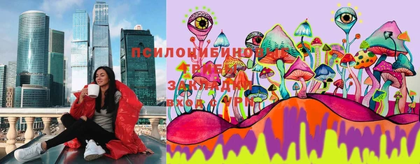 гидропоника Богородицк