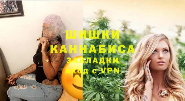шишки Богданович