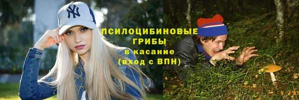 гидропоника Богородицк