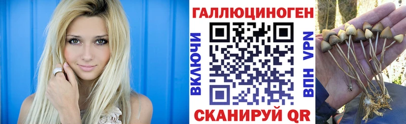 Псилоцибиновые грибы прущие грибы  Сланцы 
