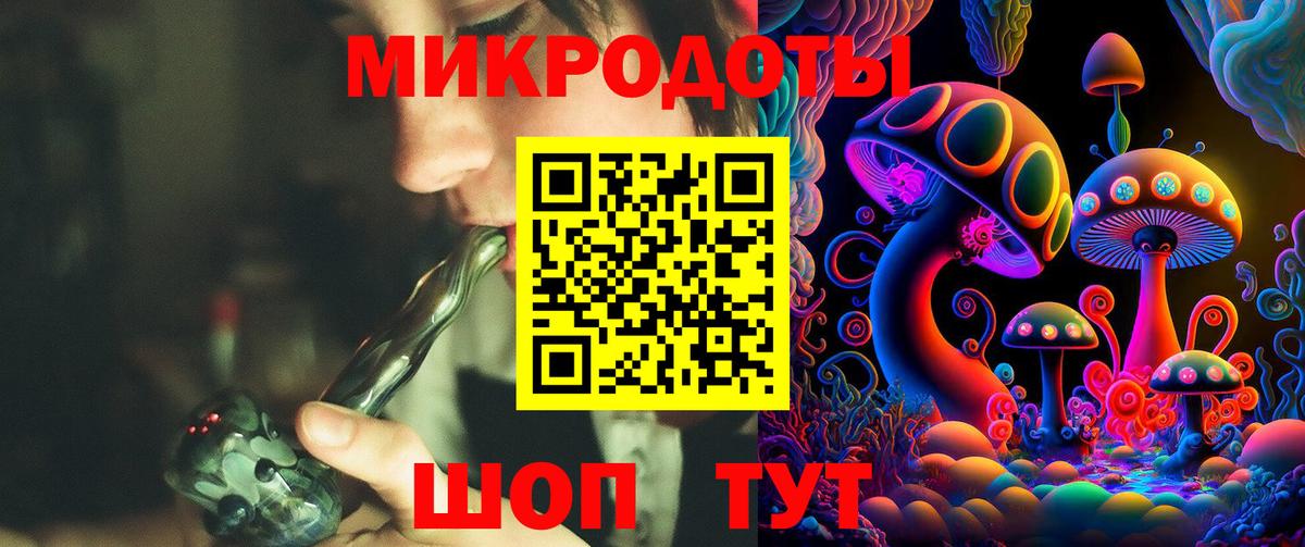 Псилоцибиновые грибы Cubensis Сланцы