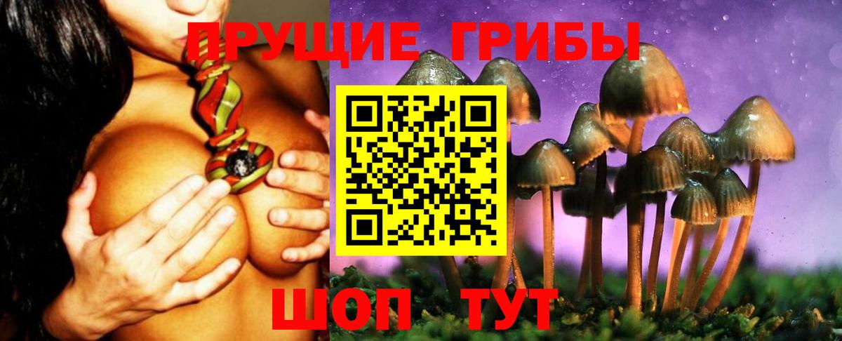 Сланцы  Галлюциногенные грибы ЛСД  Вход с VPN 