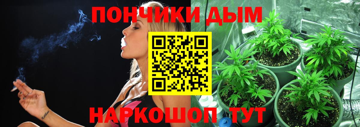 Бошки марихуана план Сланцы
